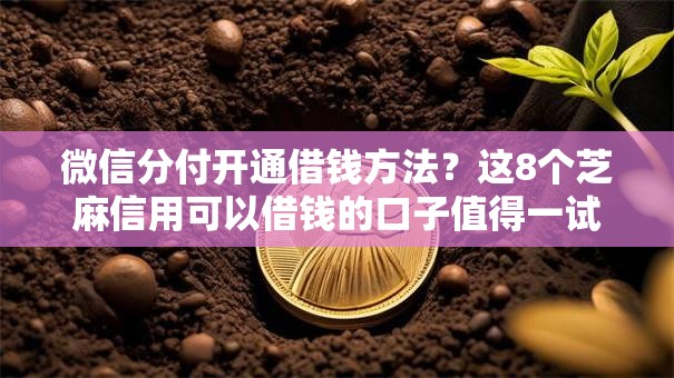 微信分付开通借钱方法？这8个芝麻信用可以借钱的口子值得一试