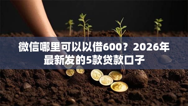 微信哪里可以以借600？2026年最新发的5款贷款口子