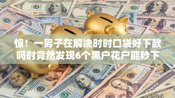 惊！一男子在解决时时口袋好下款吗时竟然发现6个黑户花户能秒下款的平台，事后分享了出来