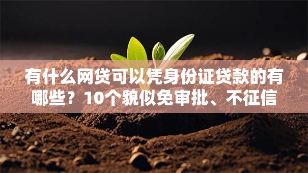 有什么网贷可以凭身份证贷款的有哪些？10个貌似免审批、不征信和大数据的短期网贷适合58岁的平台合集
