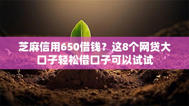 芝麻信用650借钱？这8个网贷大口子轻松借口子可以试试