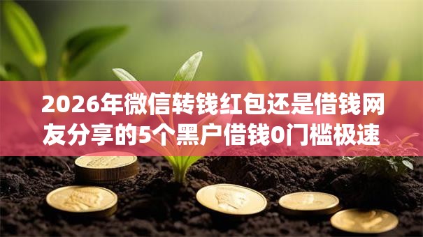 2026年微信转钱红包还是借钱网友分享的5个黑户借钱0门槛极速下款app我觉得不错！