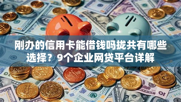 刚办的信用卡能借钱吗拢共有哪些选择？9个企业网贷平台详解