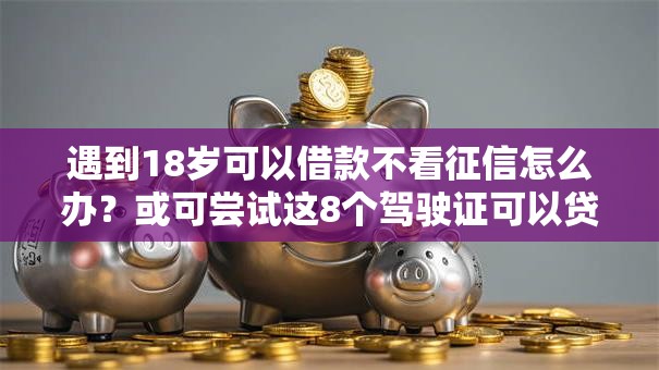 遇到18岁可以借款不看征信怎么办？或可尝试这8个驾驶证可以贷款的平台