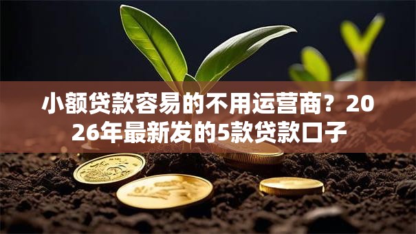 小额贷款容易的不用运营商？2026年最新发的5款贷款口子
