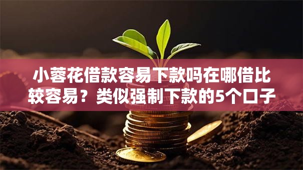 小蓉花借款容易下款吗在哪借比较容易？类似强制下款的5个口子参考