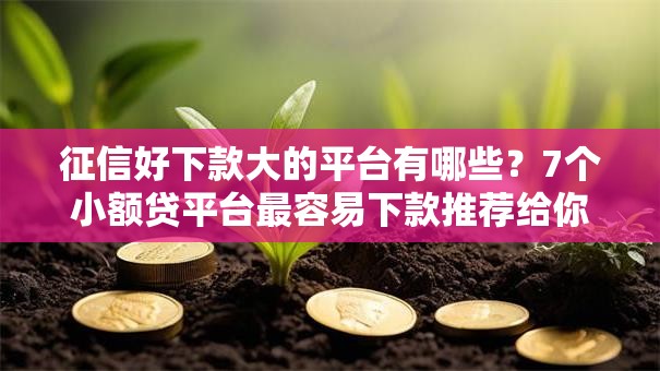征信好下款大的平台有哪些？7个小额贷平台最容易下款推荐给你