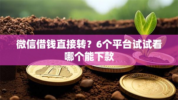 微信借钱直接转？6个平台试试看哪个能下款