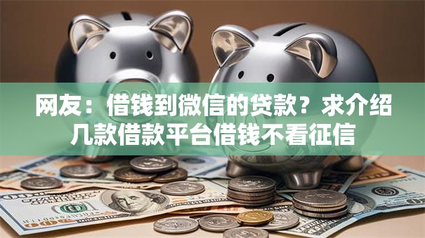 网友：借钱到微信的贷款？求介绍几款借款平台借钱不看征信