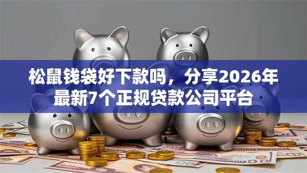 松鼠钱袋好下款吗,分享2026年最新7个正规贷款公司平台 松鼠钱袋好下款吗,分享2026年最新7个正规贷款公司平台