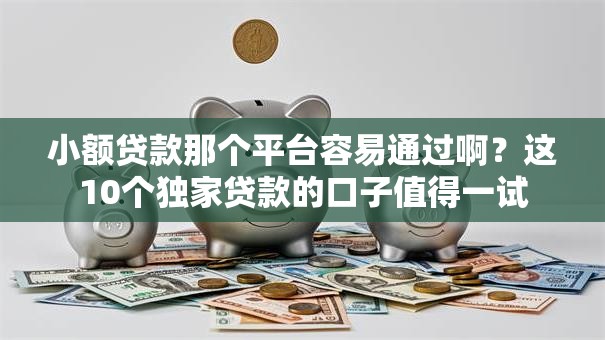 小额贷款那个平台容易通过啊？这10个独家贷款的口子值得一试