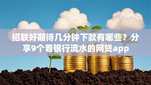 招联好期待几分钟下款有哪些？分享9个看银行流水的网贷app