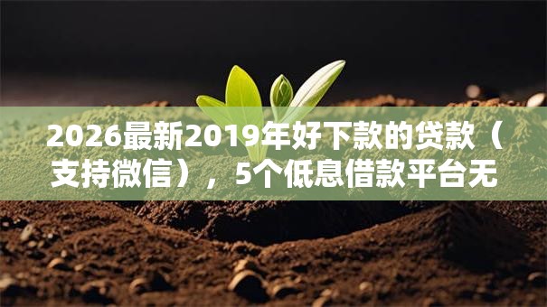 2026最新2019年好下款的贷款（支持微信），5个低息借款平台无私分享