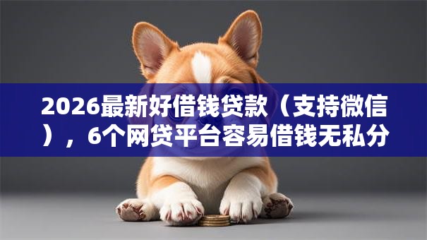 2026最新好借钱贷款（支持微信），6个网贷平台容易借钱无私分享