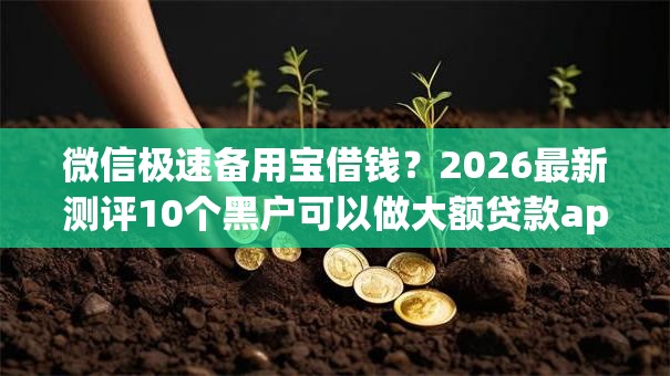 微信极速备用宝借钱？2026最新测评10个黑户可以做大额贷款app