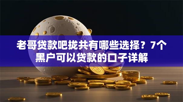 老哥贷款吧拢共有哪些选择？7个黑户可以贷款的口子详解