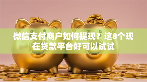 微信支付商户如何提现？这8个现在贷款平台好可以试试