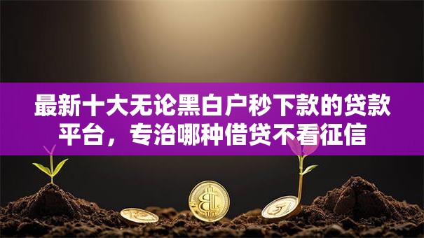 最新十大无论黑白户秒下款的贷款平台，专治哪种借贷不看征信