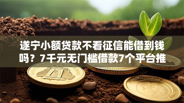 遂宁小额贷款不看征信能借到钱吗?7千元无门槛借款7个平台推荐 遂宁小额贷款不看征信能借到钱吗?7千元无门槛借款7个平台推荐