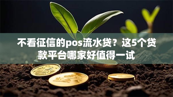 不看征信的pos流水贷?这5个贷款平台哪家好值得一试 不看征信的pos流水贷?这5个贷款平台哪家好值得一试