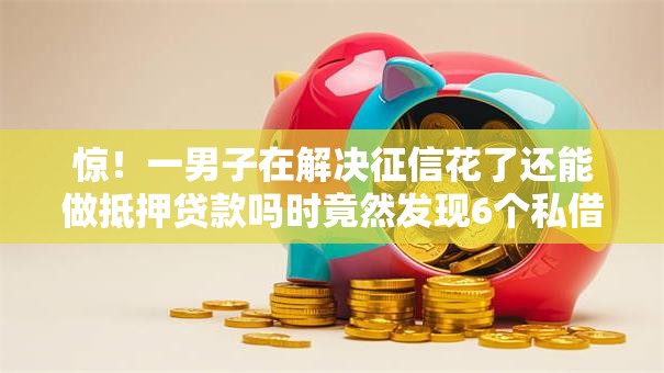 惊!一男子在解决征信花了还能做抵押贷款吗时竟然发现6个私借口子,事后分享了出来 惊!一男子在解决征信花了还能做抵押贷款吗时竟然发现6个私借口子,事后分享了出来