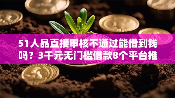 51人品直接审核不通过能借到钱吗？3千元无门槛借款8个平台推荐