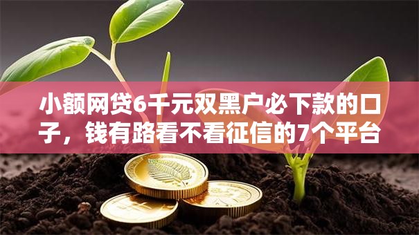 小额网贷6千元双黑户必下款的口子，钱有路看不看征信的7个平台介绍