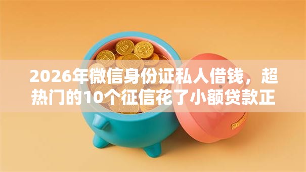 2026年微信身份证私人借钱，超热门的10个征信花了小额贷款正规平台推荐