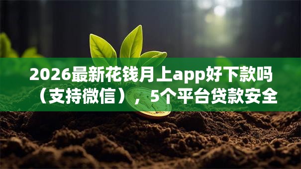 2026最新花钱月上app好下款吗（支持微信），5个平台贷款安全无私分享