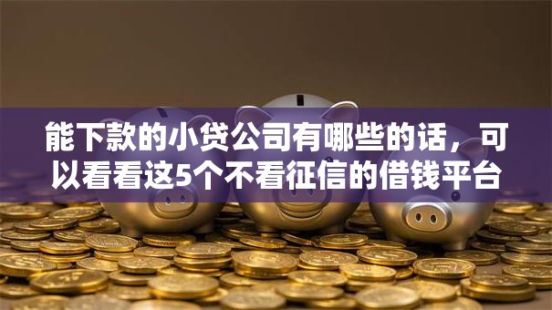 能下款的小贷公司有哪些的话，可以看看这5个不看征信的借钱平台