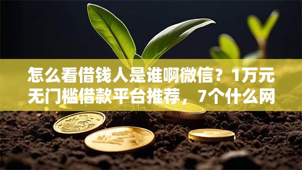怎么看借钱人是谁啊微信？1万元无门槛借款平台推荐，7个什么网贷是正规平台盘点