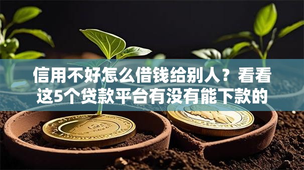 信用不好怎么借钱给别人?看看这5个贷款平台有没有能下款的 信用不好怎么借钱给别人?看看这5个贷款平台有没有能下款的