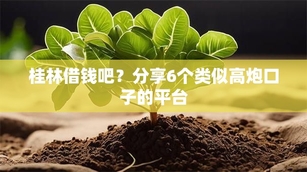 桂林借钱吧?分享6个类似高炮口子的平台 桂林借钱吧?分享6个类似高炮口子的平台