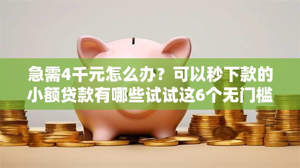 急需4千元怎么办?可以秒下款的小额贷款有哪些试试这6个无门槛平台 急需4千元怎么办?可以秒下款的小额贷款有哪些试试这6个无门槛平台