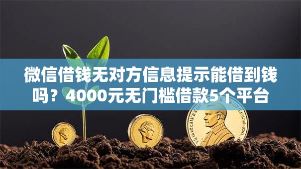 微信借钱无对方信息提示能借到钱吗？4000元无门槛借款5个平台推荐