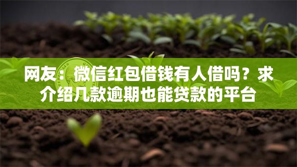 网友：微信红包借钱有人借吗？求介绍几款逾期也能贷款的平台