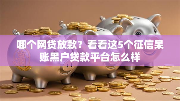 哪个网贷放款？看看这5个征信呆账黑户贷款平台怎么样