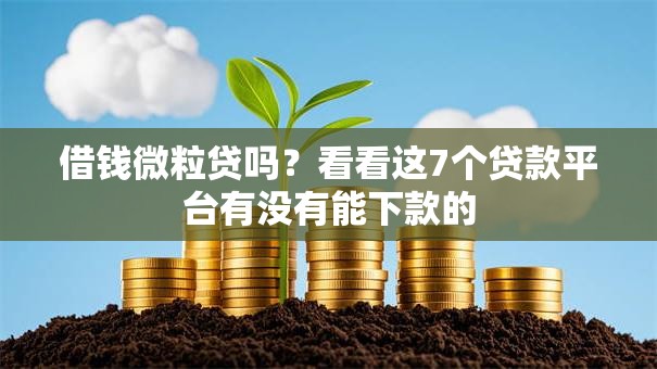 借钱微粒贷吗?看看这7个贷款平台有没有能下款的 借钱微粒贷吗?看看这7个贷款平台有没有能下款的