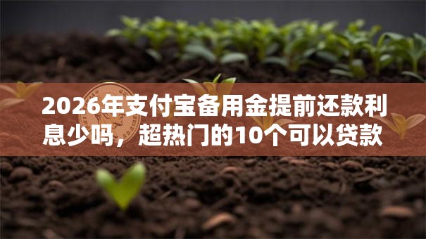 2026年支付宝备用金提前还款利息少吗，超热门的10个可以贷款的平台推荐
