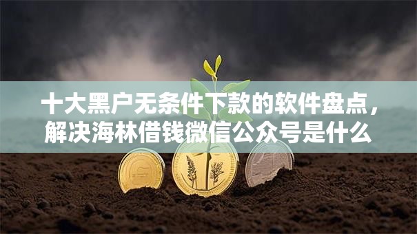 十大黑户无条件下款的软件盘点，解决海林借钱微信公众号是什么的问题