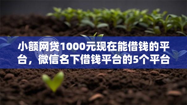 小额网贷1000元现在能借钱的平台,微信名下借钱平台的5个平台介绍 小额网贷1000元现在能借钱的平台,微信名下借钱平台的5个平台介绍