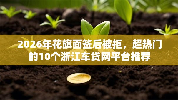 2026年花旗面签后被拒，超热门的10个浙江车贷网平台推荐