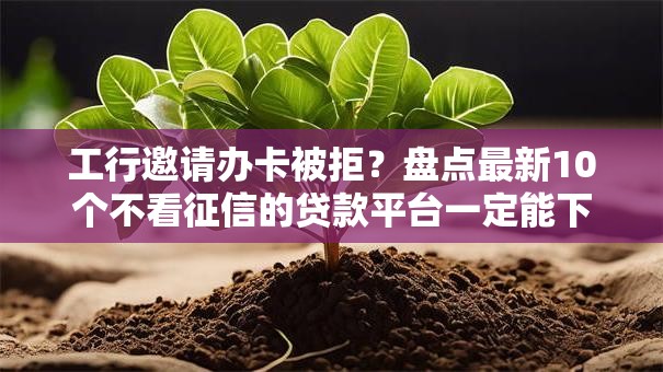工行邀请办卡被拒?盘点最新10个不看征信的贷款平台一定能下款 工行邀请办卡被拒?盘点最新10个不看征信的贷款平台一定能下款