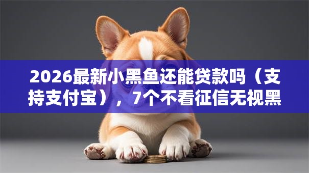 2026最新小黑鱼还能贷款吗（支持支付宝），7个不看征信无视黑白百分百下款网贷口子无私分享