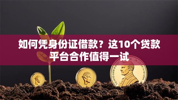 如何凭身份证借款？这10个贷款平台合作值得一试