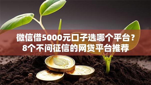 微信借5000元口子选哪个平台?8个不问征信的网贷平台推荐 微信借5000元口子选哪个平台?8个不问征信的网贷平台推荐