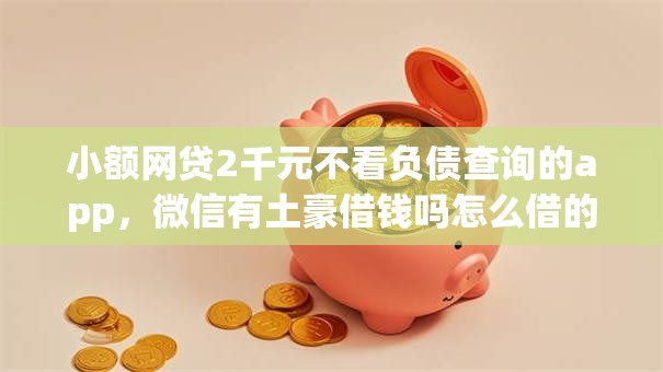 小额网贷2千元不看负债查询的app，微信有土豪借钱吗怎么借的8个平台介绍