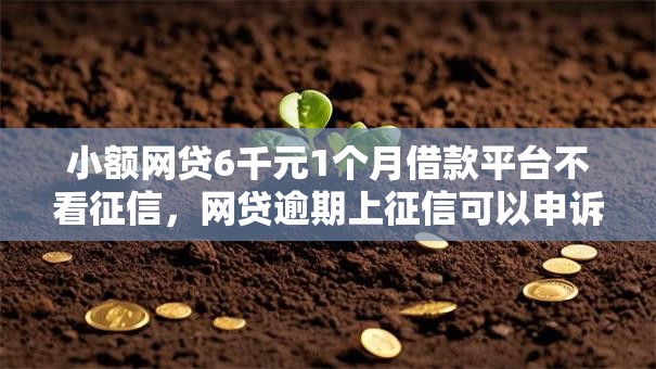 小额网贷6千元1个月借款平台不看征信，网贷逾期上征信可以申诉吗的8个平台介绍