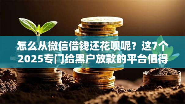 怎么从微信借钱还花呗呢？这7个2025专门给黑户放款的平台值得一试