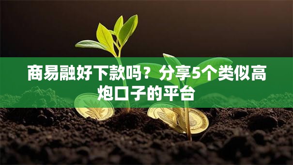 商易融好下款吗？分享5个类似高炮口子的平台